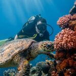 Private Diving Instructor