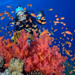 Underwater Photography Session